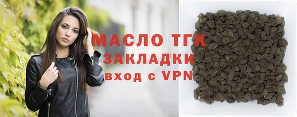 индика Беломорск