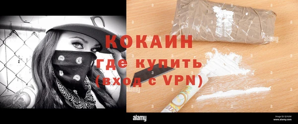 гидра Белокуриха
